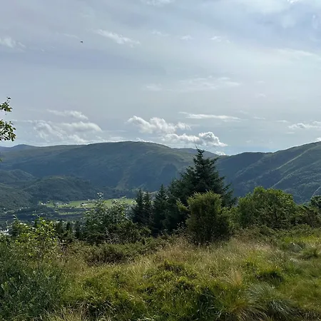 Апартаменты Comfort In Lone Only 20 Minutes Away From The Heart Of The City! *